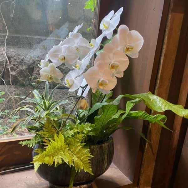お盆にお供えするお花（アレンジメント・胡蝶蘭・プリザーブドフラワー）の特集サムネイル